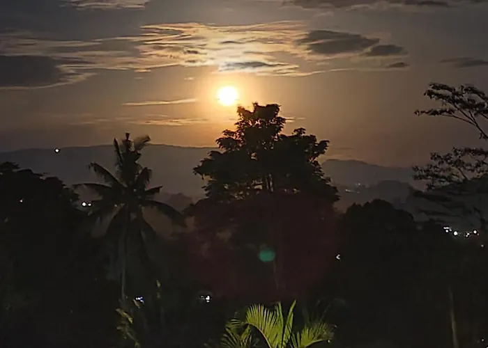 Hotel Arta Dani Sidemen (Bali)