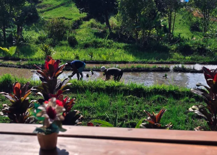 Arta Dani Sidemen (Bali)